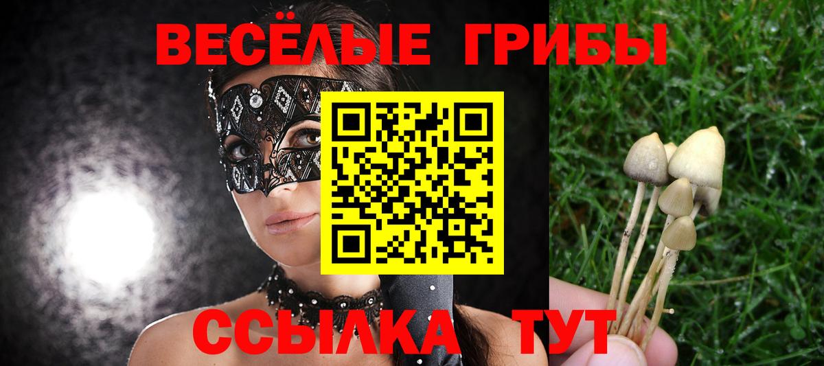 Куйбышев  Галлюциногенные грибы Psilocybine cubensis  Вход с VPN 